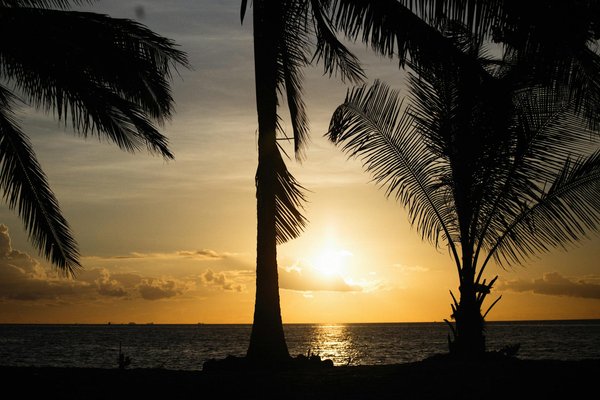 Train ou Avion : Guide Comparatif Incontournable pour Choisir Votre Mode de Transport pour les Vacances