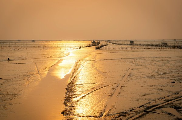 Organisation Idéale pour une Aventure Mémorable et Époustouflante